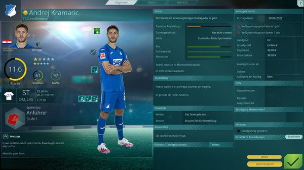 WE ARE FOOTBALL DLC - Edition "Bundesliga" screenshot 5
