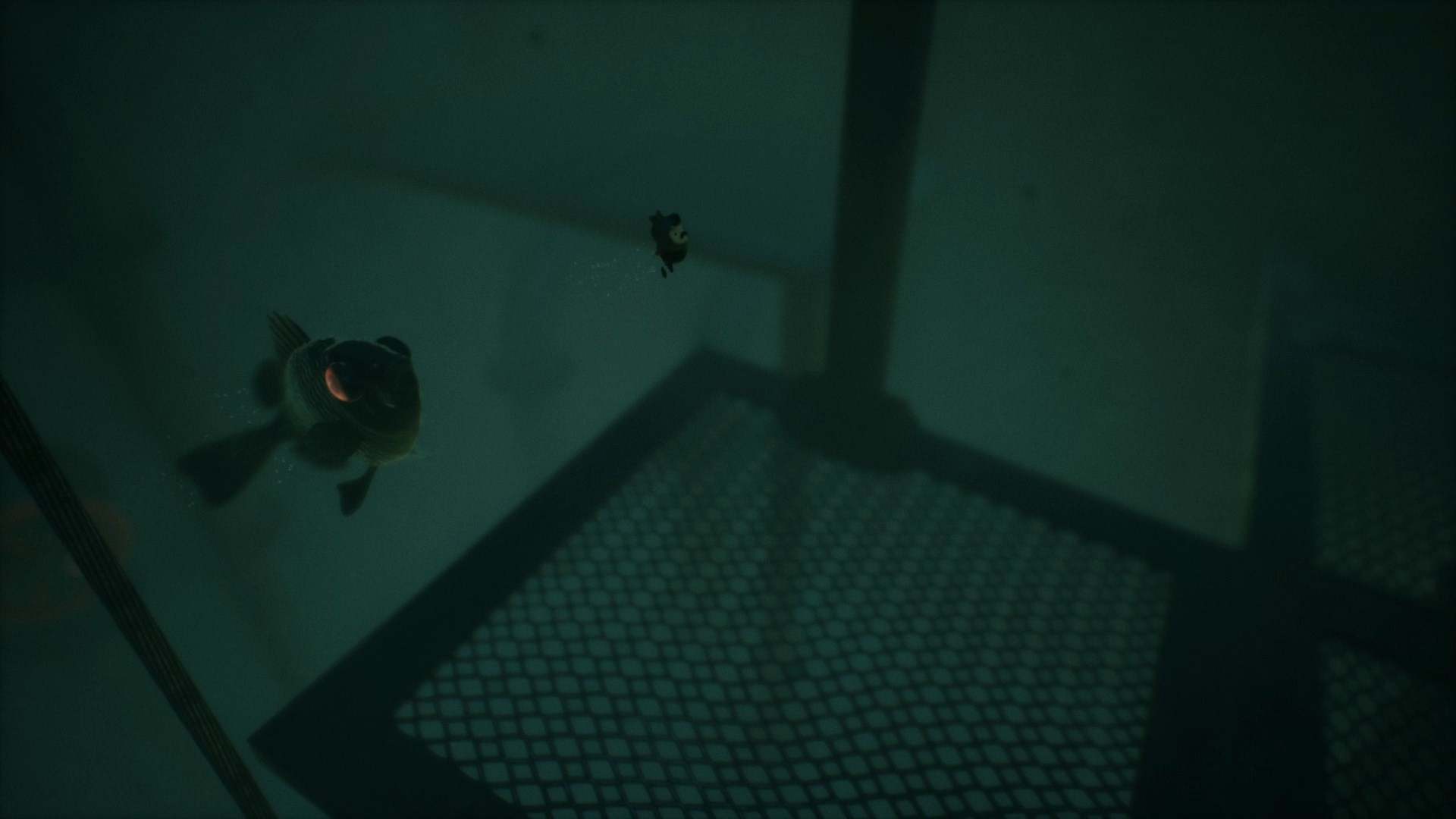 ingame image