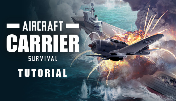 air carrier