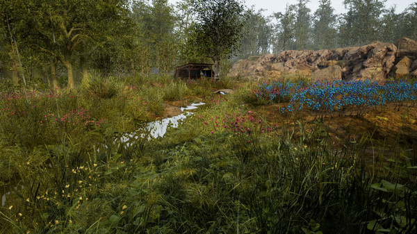 Скриншот из RTD