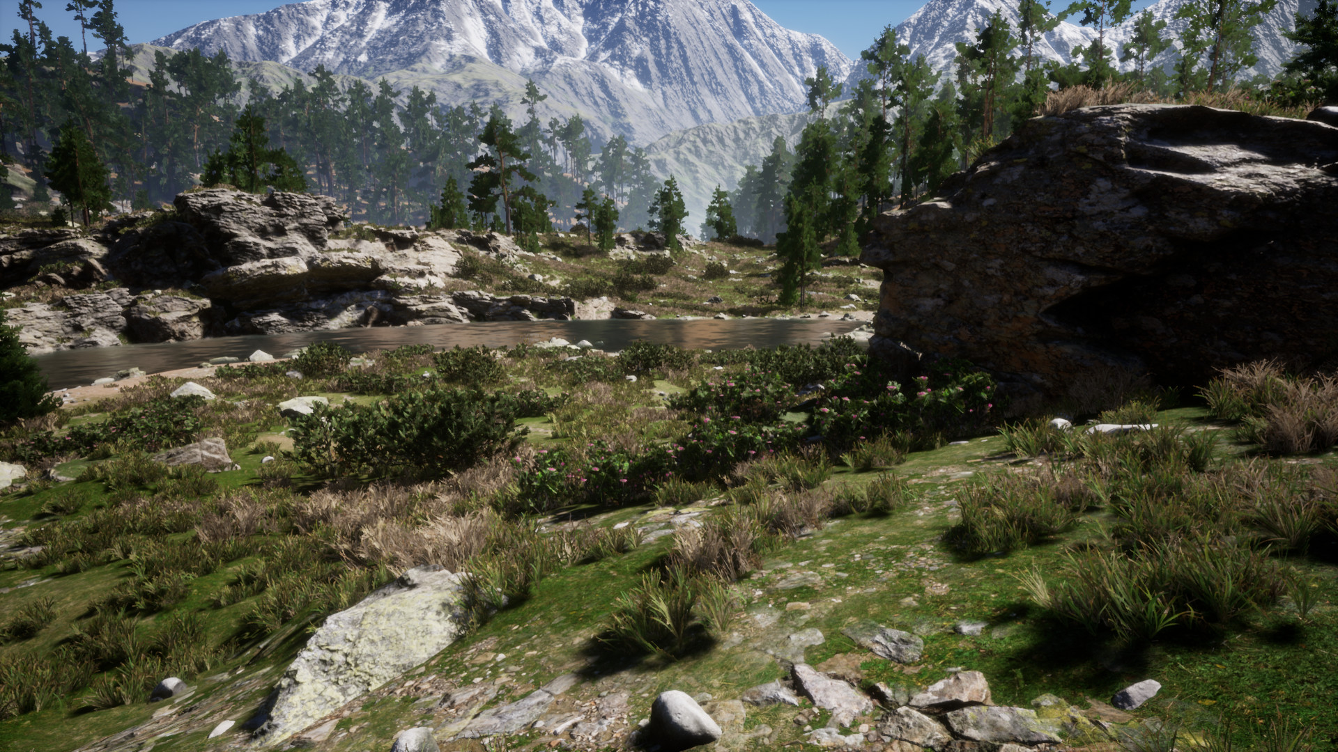 Frontline Evolved #3