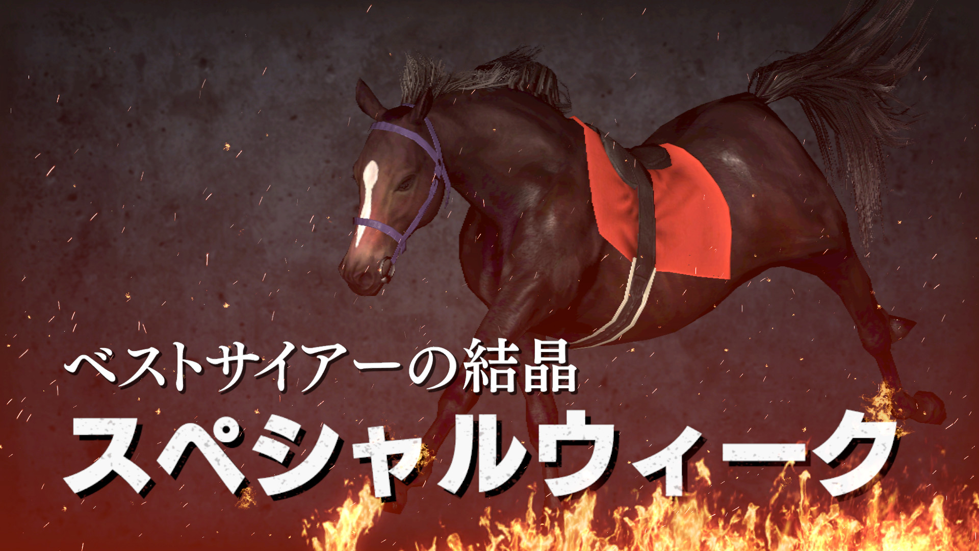 Wp9 21 花の95年組 購入権セット 全4頭 En Steam Wp9 21 花の95年組 購入権セット 全4頭 En Steam