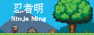 Ninja Ming