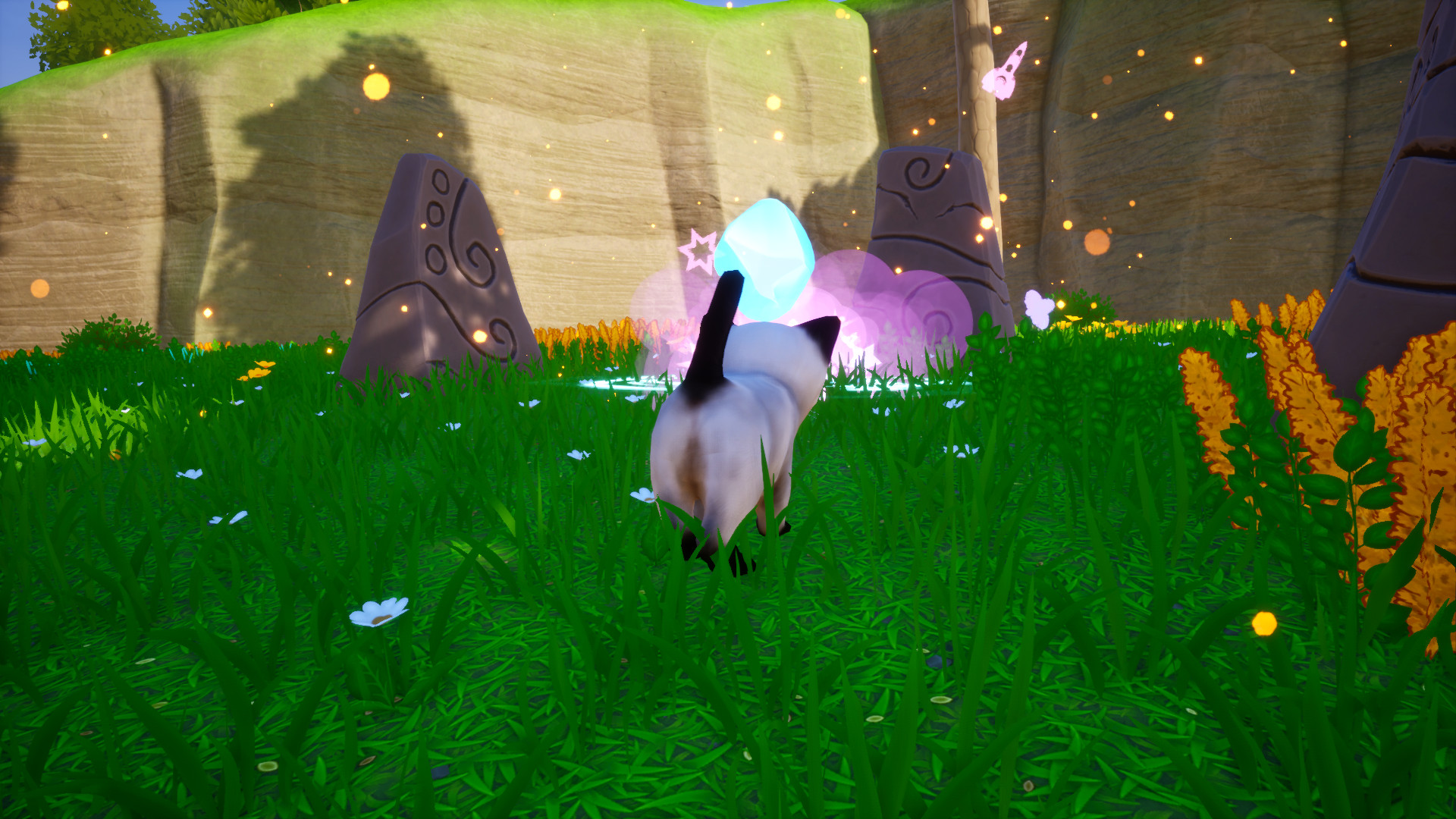 Cat Go! Ultimate Challenge #11