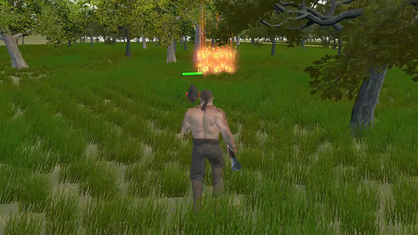 Скриншот из Pirate of Madagascar Island