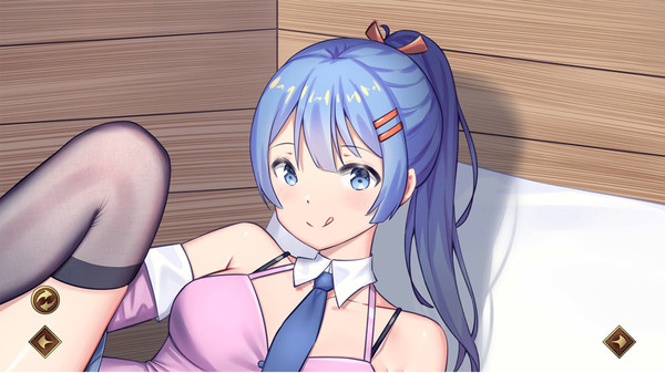 Seek Girl Ⅷ game for windows Pc 1