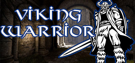 Viking Warrior Cover Image