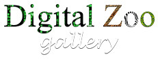 Digital Zoo Gallery 게임 이미지