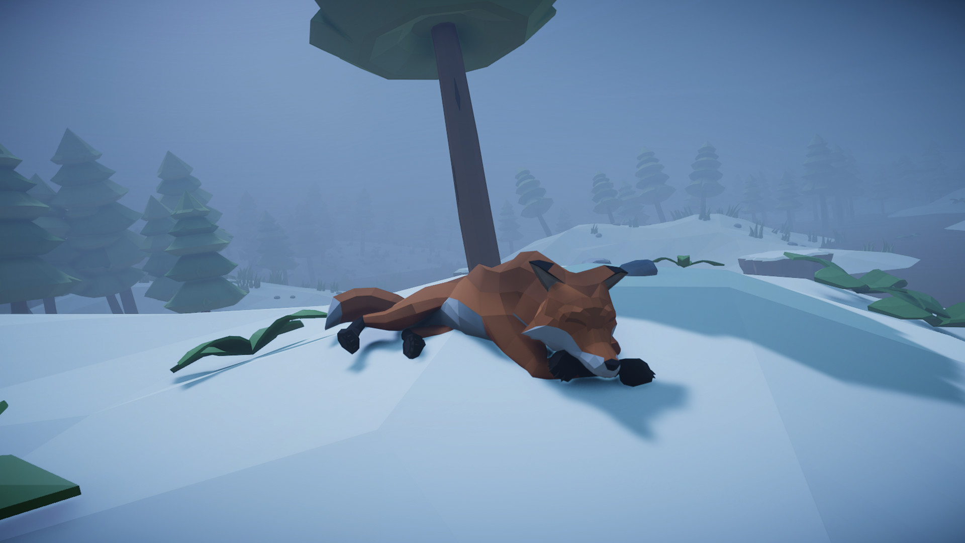 Defend Till Sunshine #5