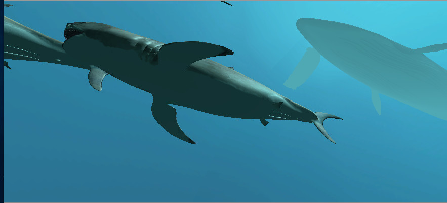 VR Shark 1