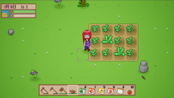 Wild Workshop game for Linux 1