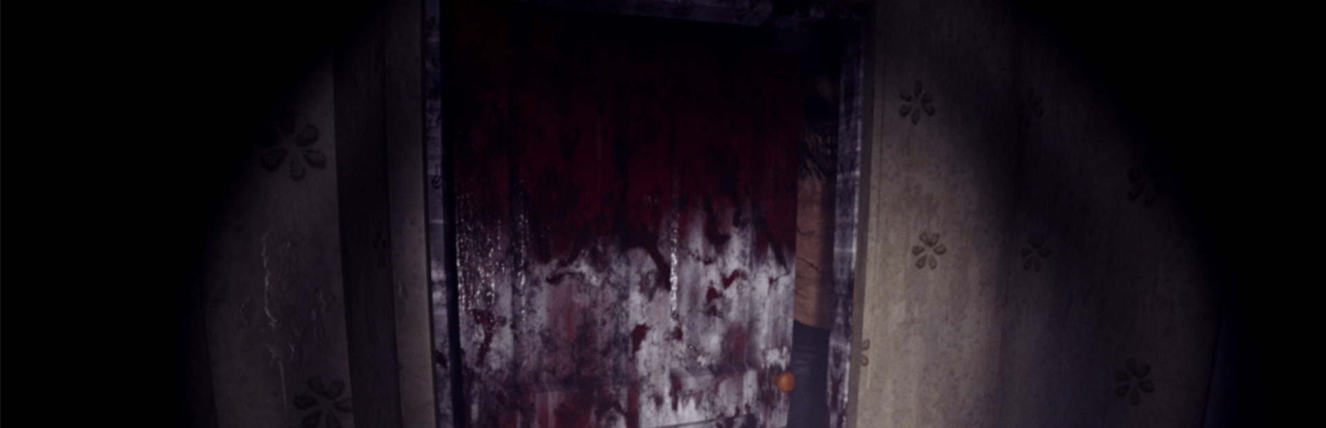 Library Hero - Steam library hero banner