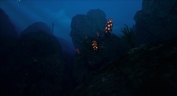 ChillaxVR game for windows Pc 1