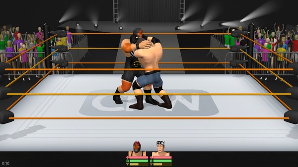 скриншот Casual Pro Wrestling 0