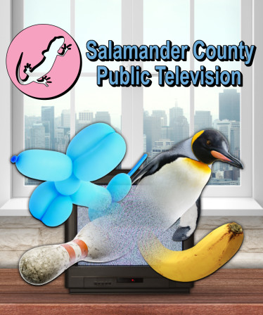 Salamander County Public Television