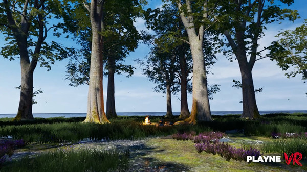 скриншот Playne VR 0