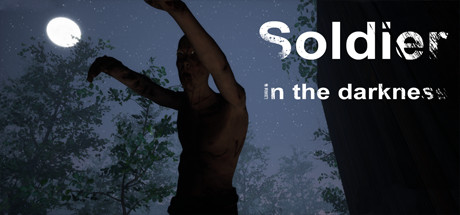 Soldier in the darkness banner