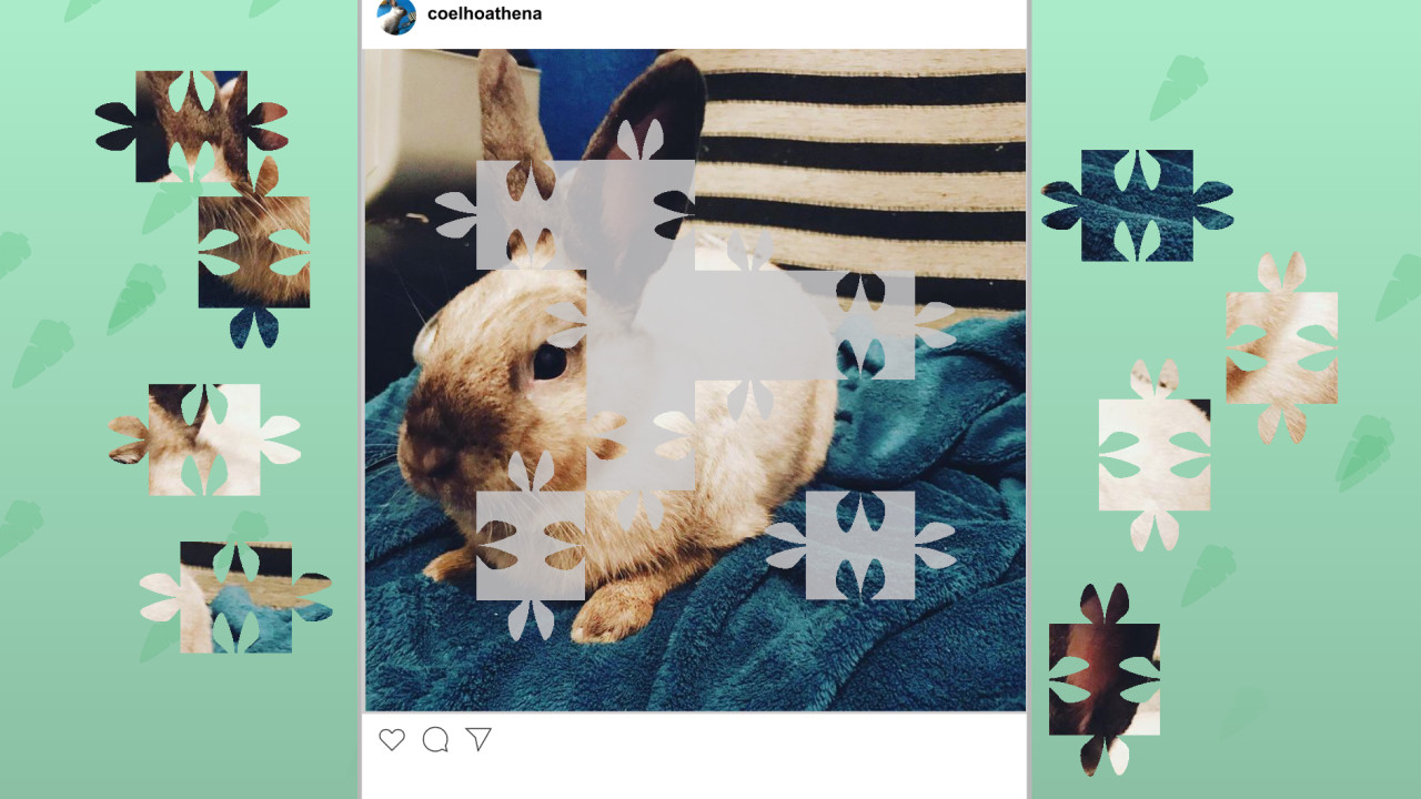 Athena, the rabbit - Jigsaw Puzzle screenshot 1