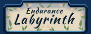Endurance Labyrinth
