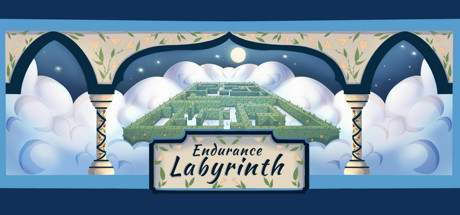 Image for Endurance Labyrinth