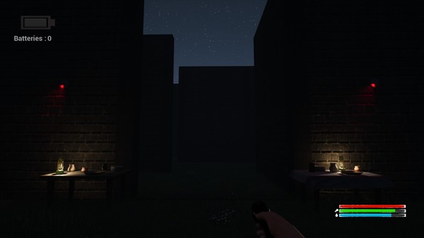 What The Mazefor windows and Linux 1