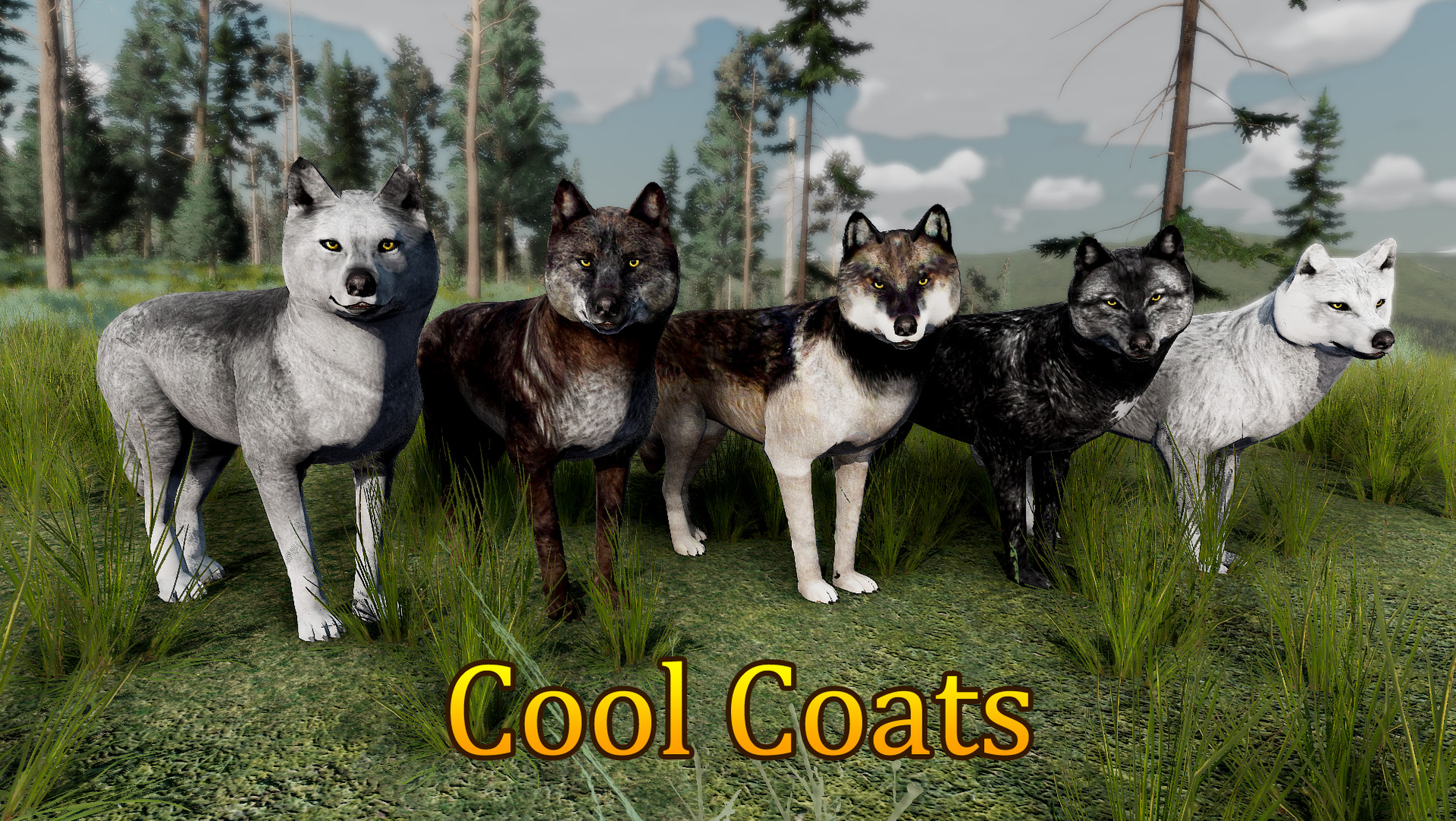 Wolf coats for clearance sale