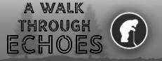 A Walk Through Echoes