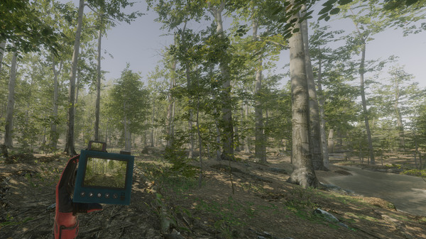 скриншот VR Walking Simulator 1