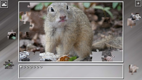 Super Jigsaw Puzzle: Generations - Rodents