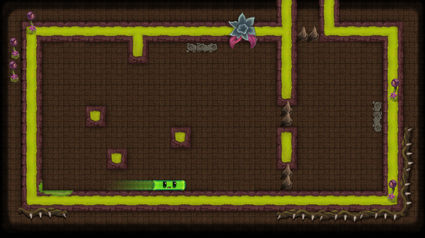 Dungeon Slime 2for windows and Linux 1
