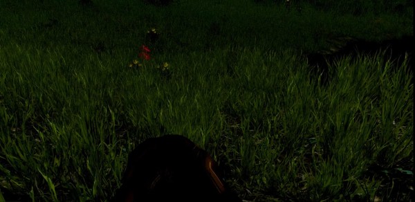 Скриншот из Yellow Brick Road