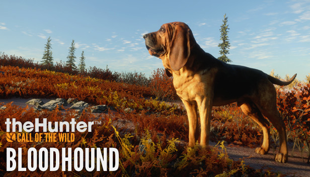 Save 23 On Thehunter Call Of The Wild Bloodhound On Steam