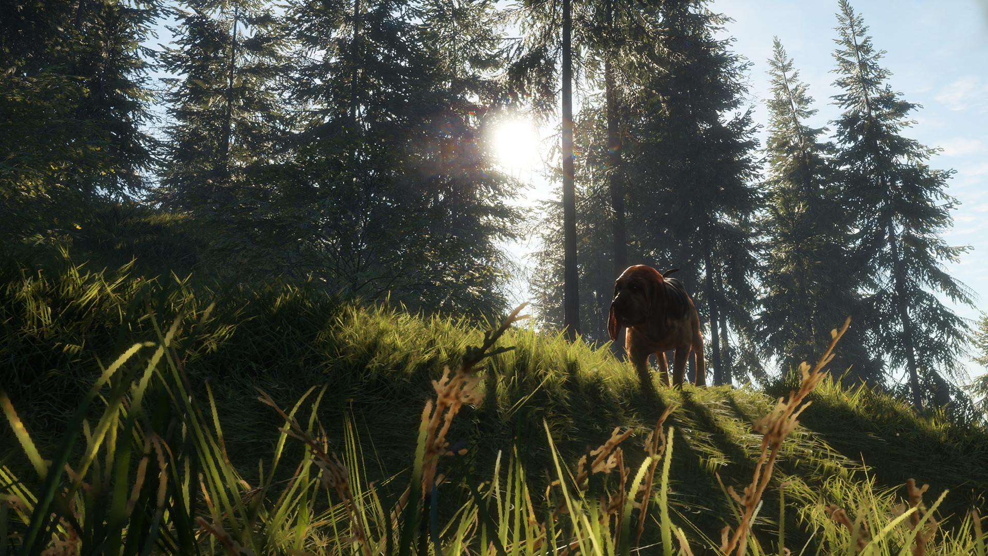 theHunter: Call of the Wild (Windows) Price on Windows