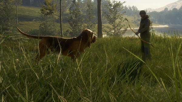 скриншот theHunter: Call of the Wild - Bloodhound 2