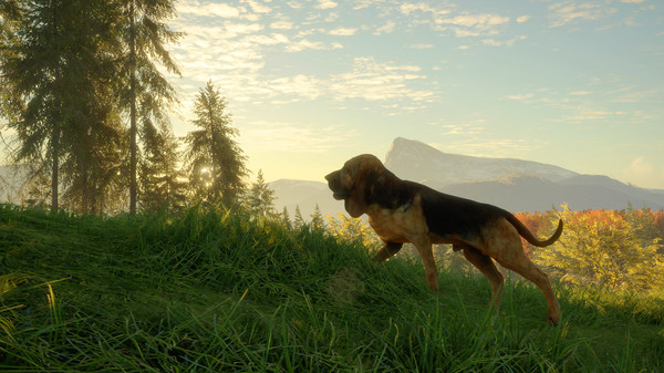 скриншот theHunter: Call of the Wild - Bloodhound 3