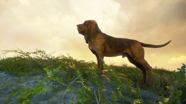 KHAiHOM.com - theHunter: Call of the Wild™ - Bloodhound