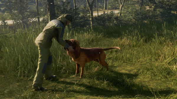 скриншот theHunter: Call of the Wild - Bloodhound 5