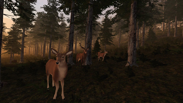 скриншот Virtual Hunter 3