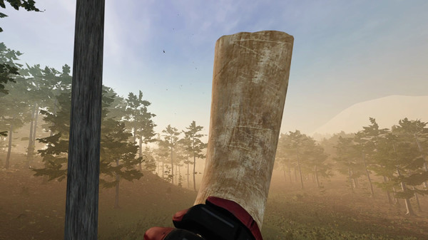 скриншот Virtual Hunter 4