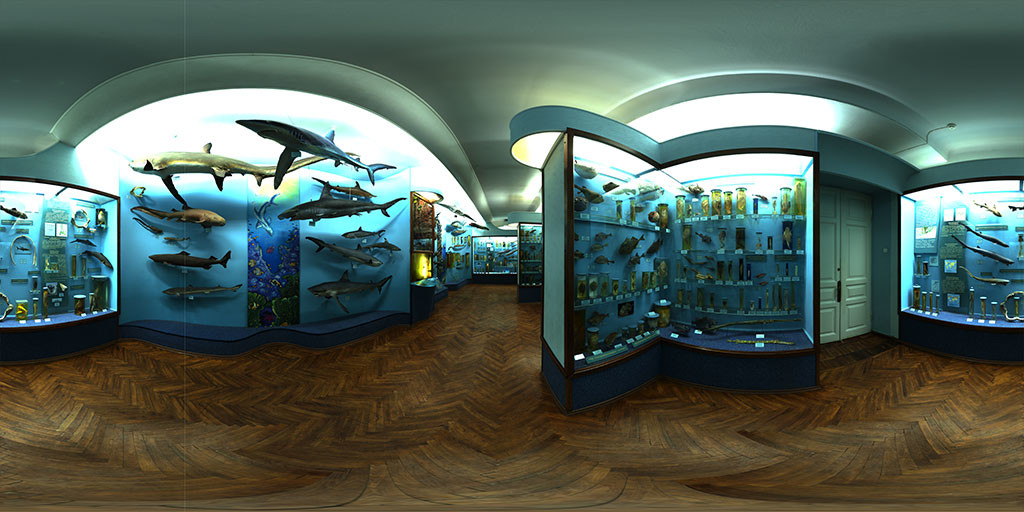 Cubemaps for Clip maker #21