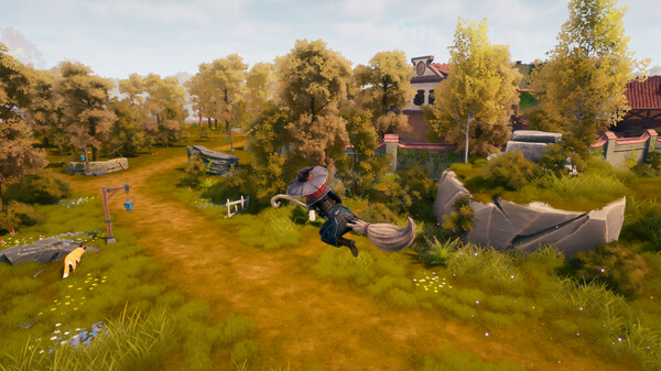 The Witch of Fern Island CD Key 1