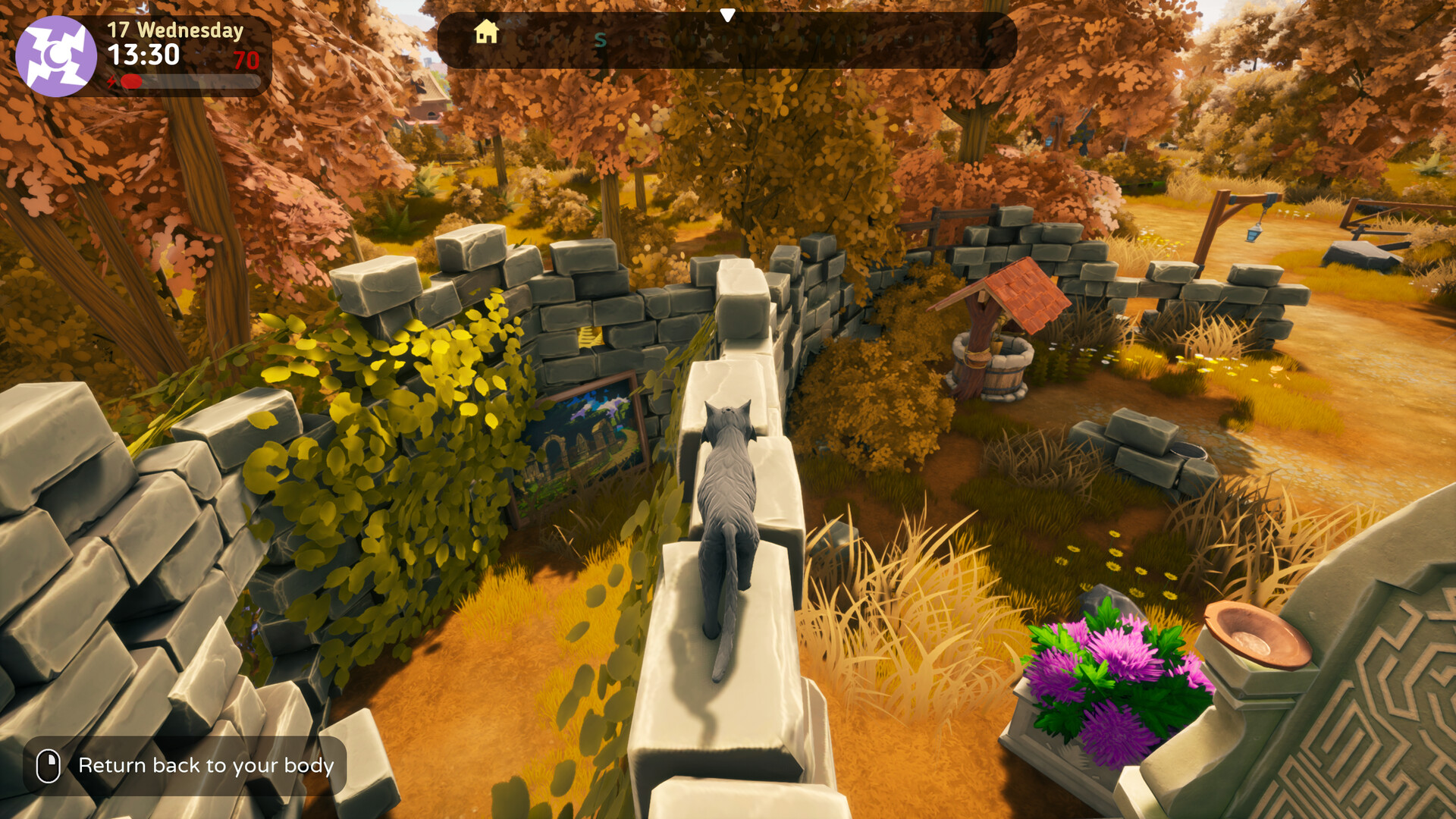 The Witch of Fern Island #7