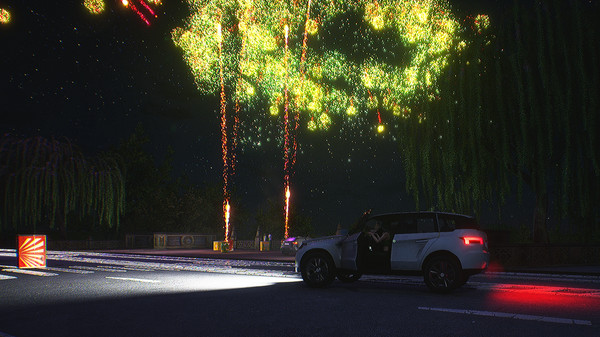 скриншот Fireworks Simulator: Realistic 1