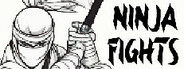 Ninja Fights
