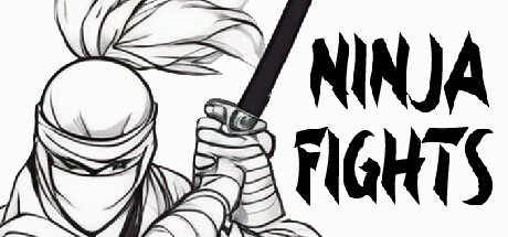 Notebook Ninja Fights Cover Image