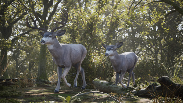 Скриншот из Artemishea