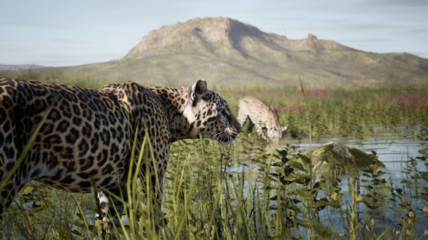 Скриншот из Artemishea