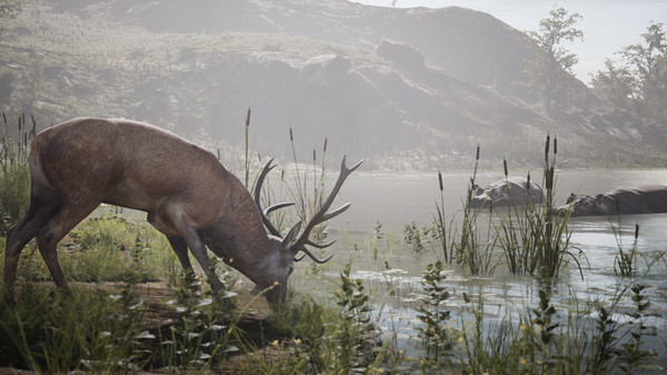 Скриншот из Artemishea