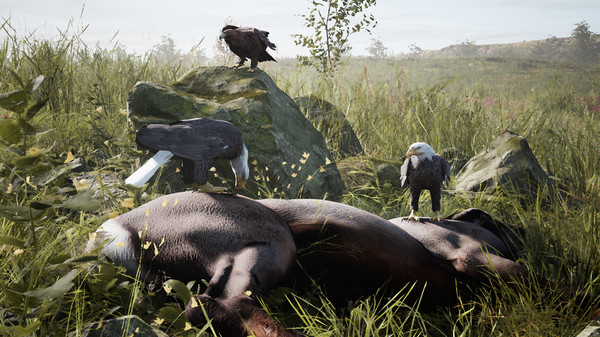 Скриншот из Artemishea