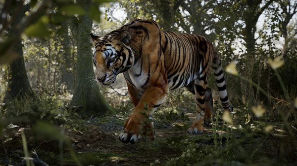 Скриншот из Artemishea